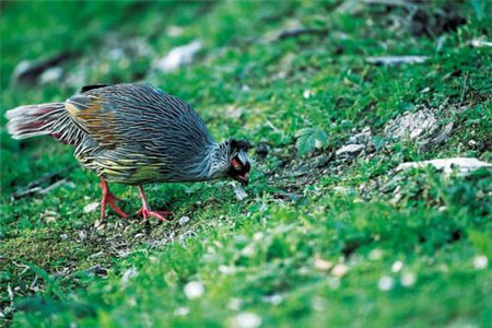 給廣東2020年自考考生選擇專業(yè)的建議