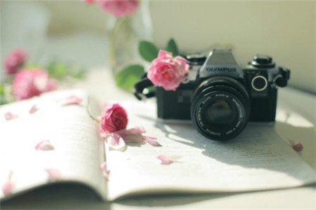 廣州美術學院自考報考專業有哪些？